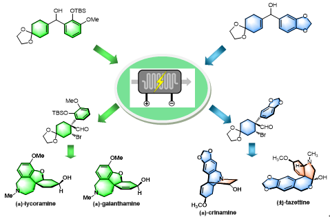 重要活动 上海交通大学致远学院